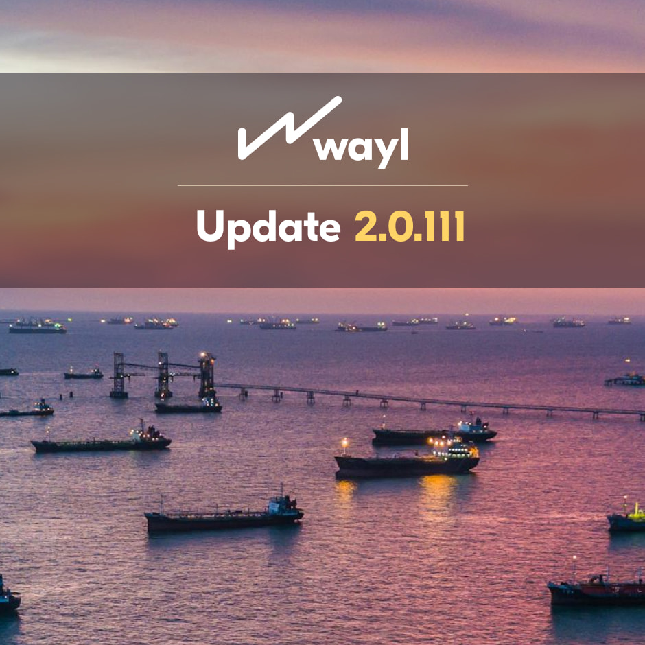 WAYL Software update 2.0.111